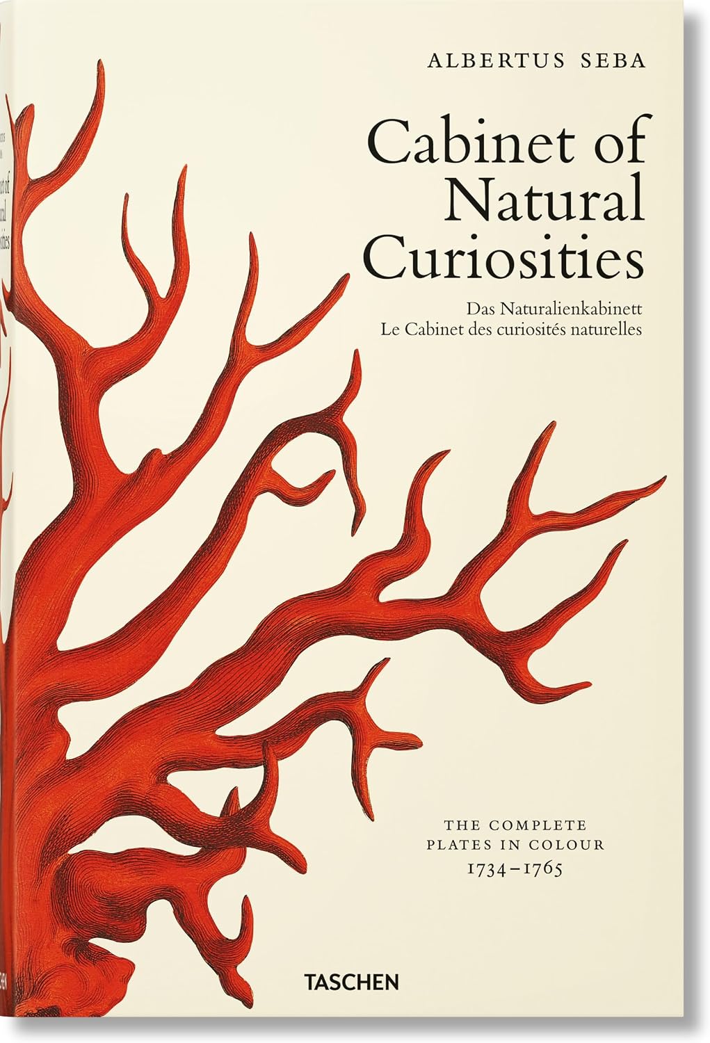 Seba. Cabinet of Natural Curiosities (Fantastic Price) (Multilingual Edition) by Irmgard M�sch