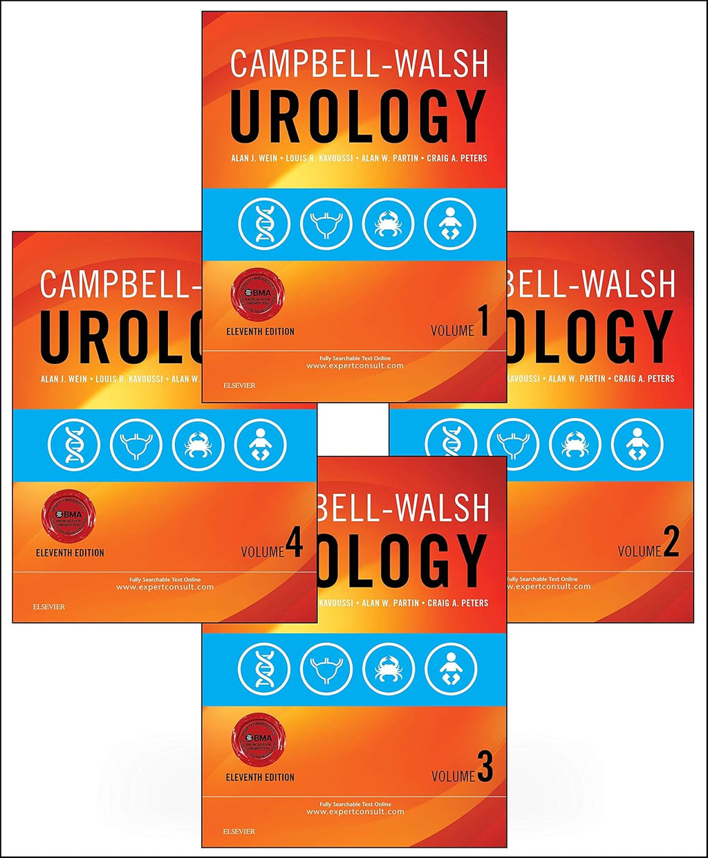 Campbell-Walsh Urology: 4-Volume Set by Alan J. Wein MD PhD (Hon) FACS