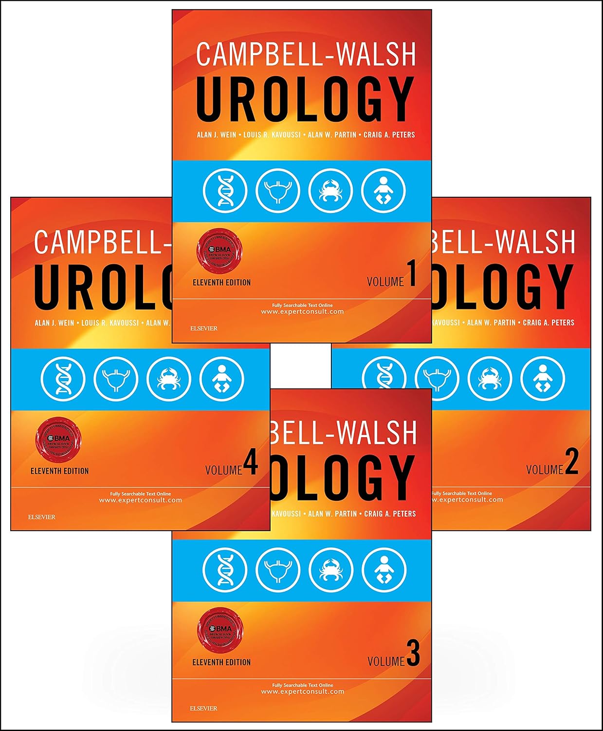 Campbell-Walsh Urology: 4-Volume Set by Alan J. Wein MD PhD (Hon) FACS