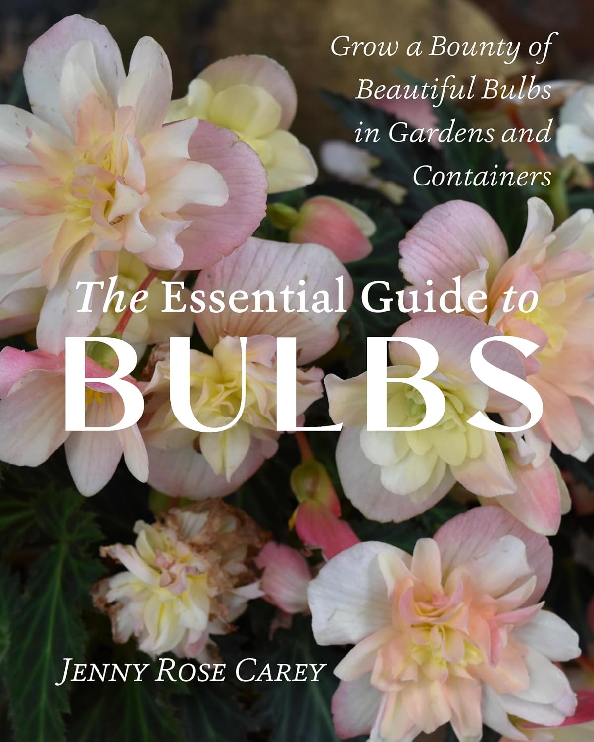 The Essential Guide to Bulbs: Grow a Bounty of Beautiful Bulbs in Gardens and Containers by Jenny Rose Carey