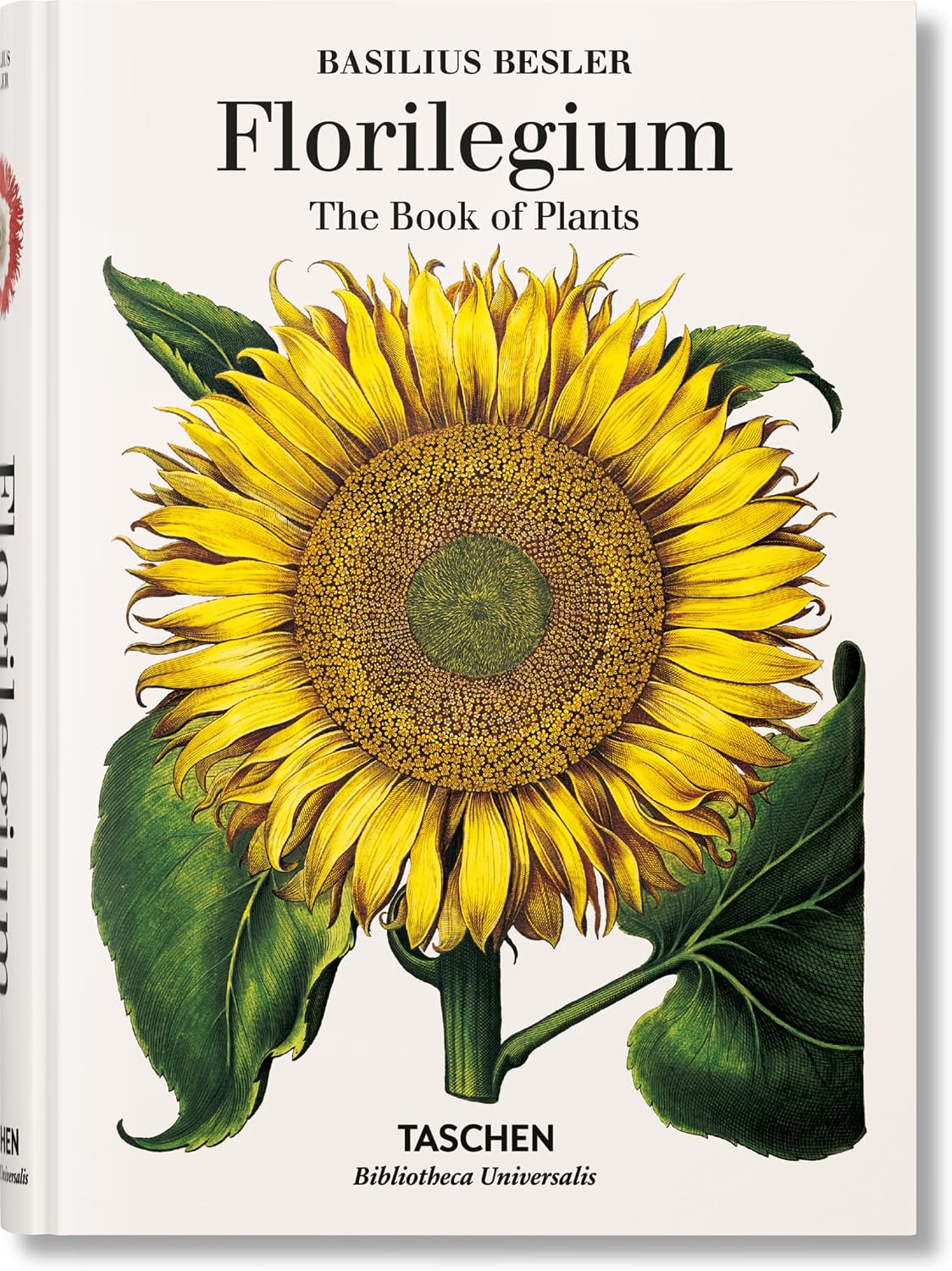 Basilius Besler’s Florilegium. The Book of Plants (Bibliotheca Universalis) by Basilius Besler