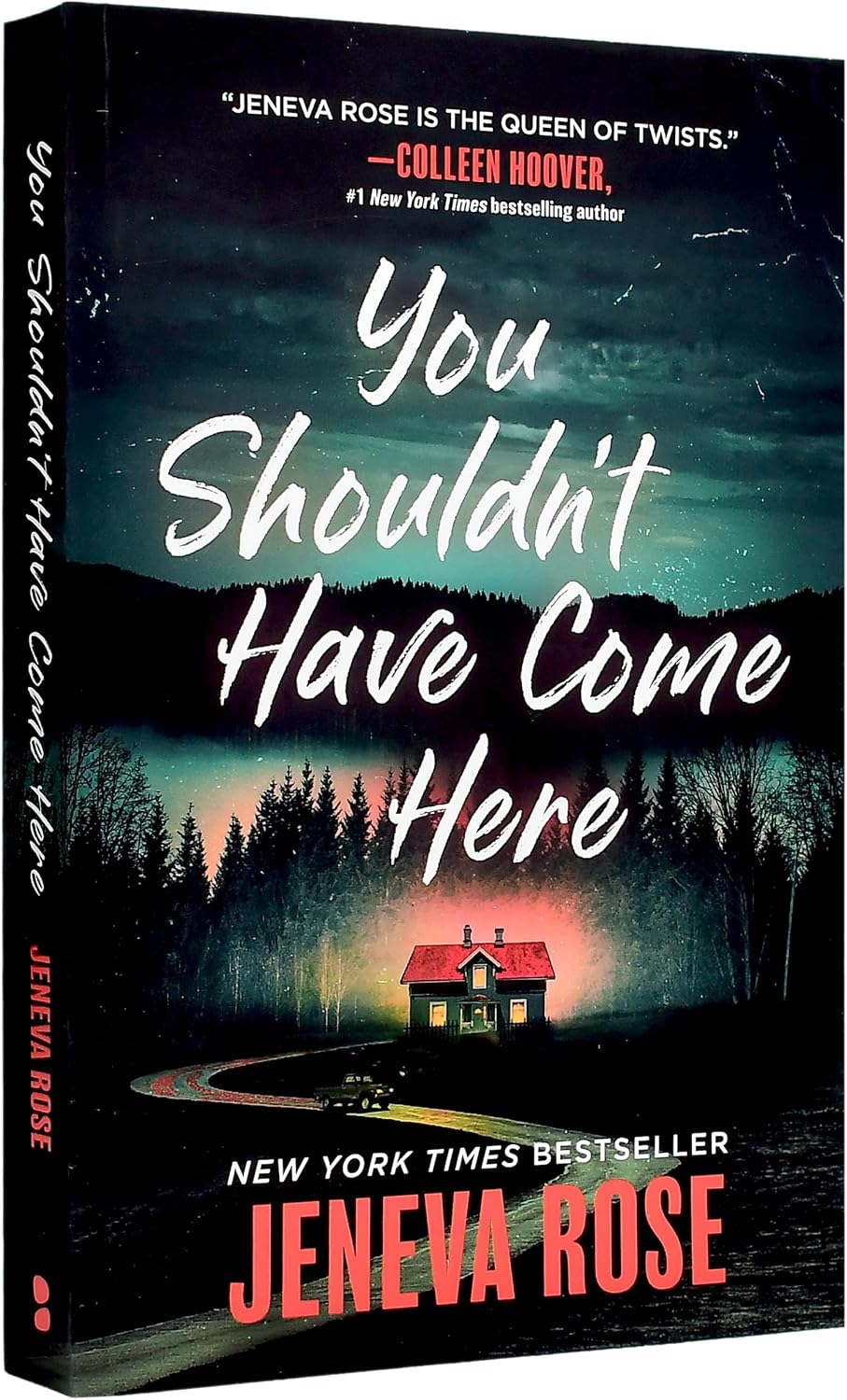 You Shouldn't Have Come Here by Jeneva Rose