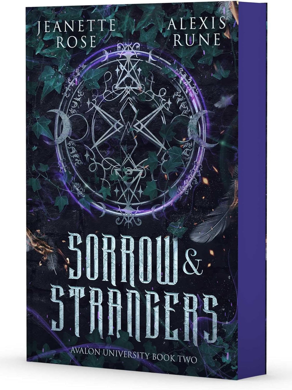 Sorrow & Strangers (Avalon University) by Jeanette Rose