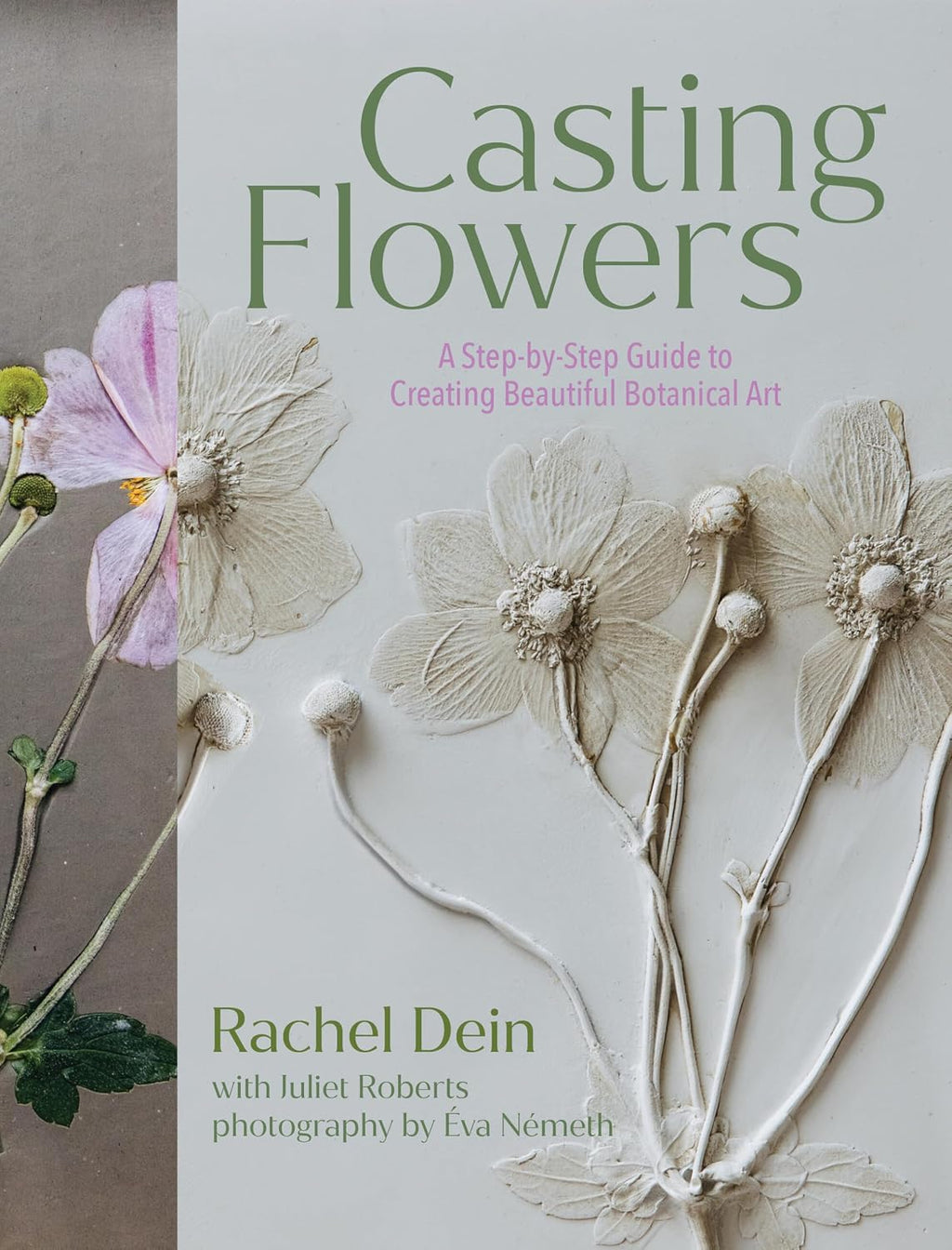 Casting Flowers: A Step-by-Step Guide to Creating Beautiful Botanical Art by Rachel Dein