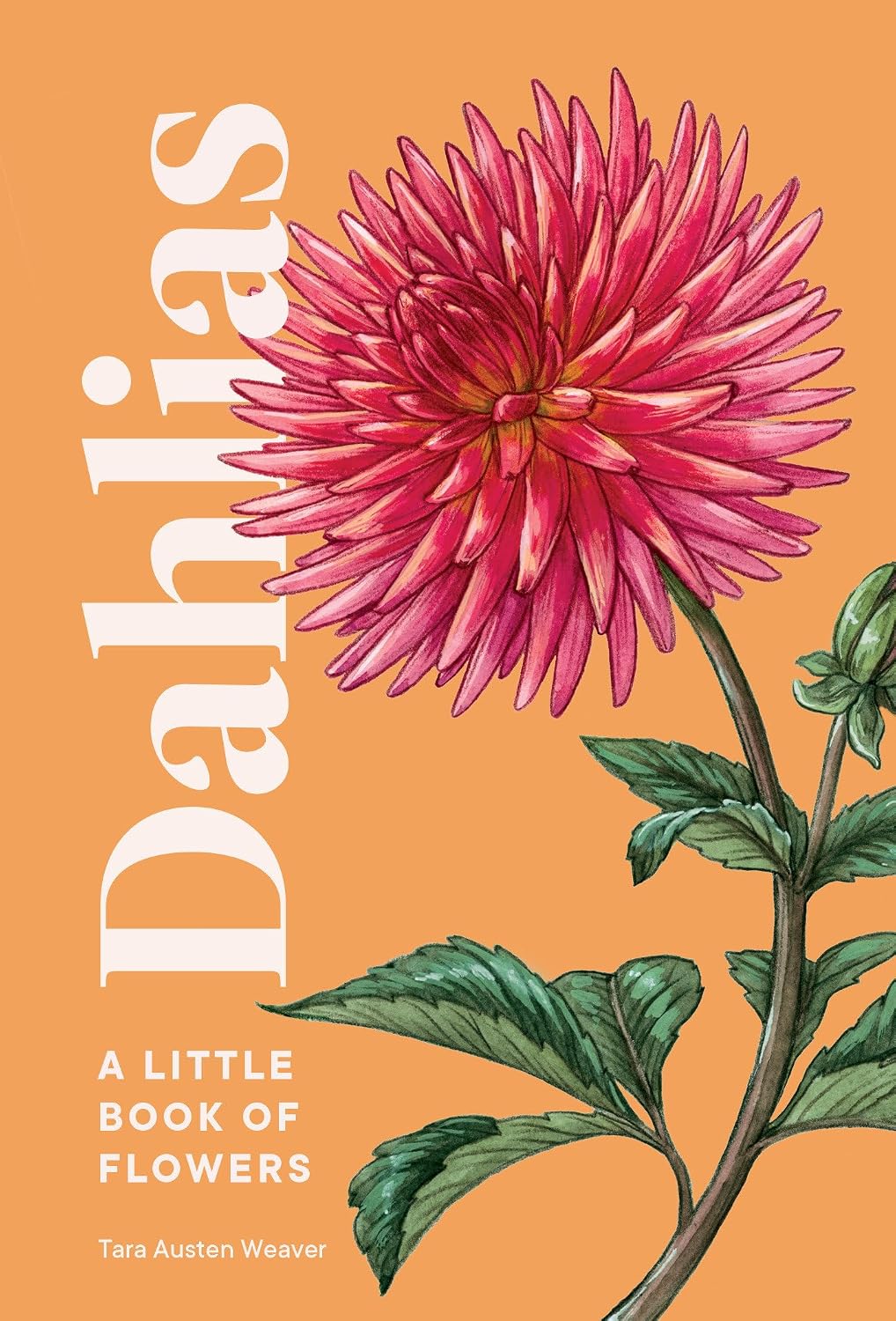 Dahlias: A Little Book of Flowers (Little Book of Natural Wonders) by Tara Austen Weaver