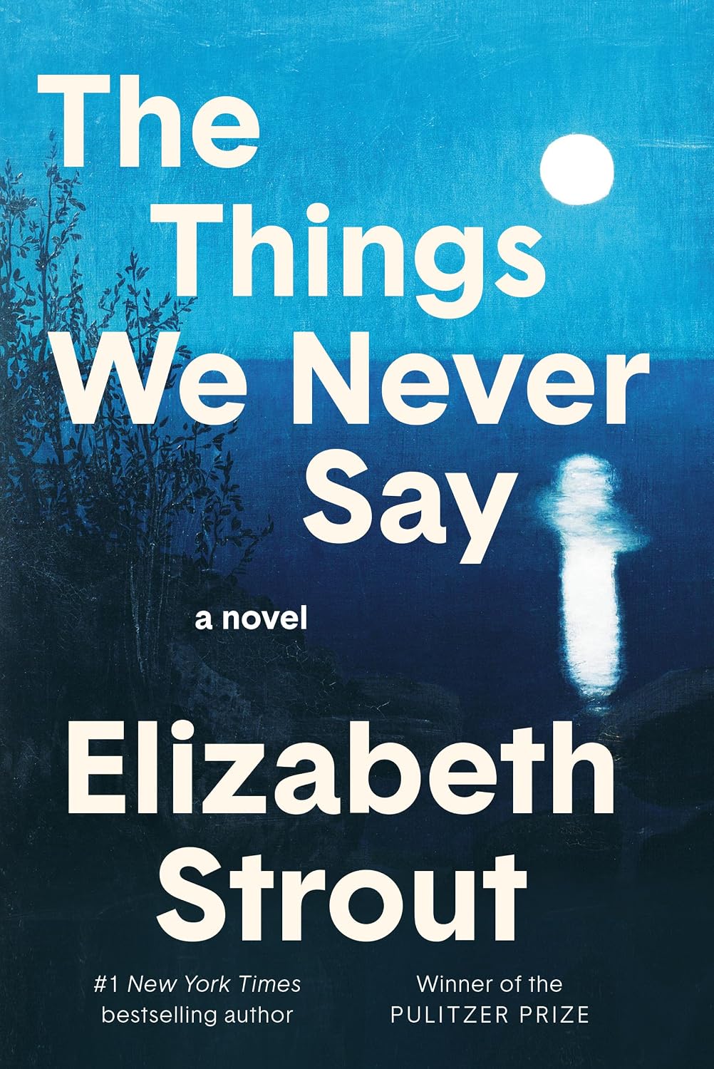 The Things We Never Say: A Novel by Elizabeth Strout