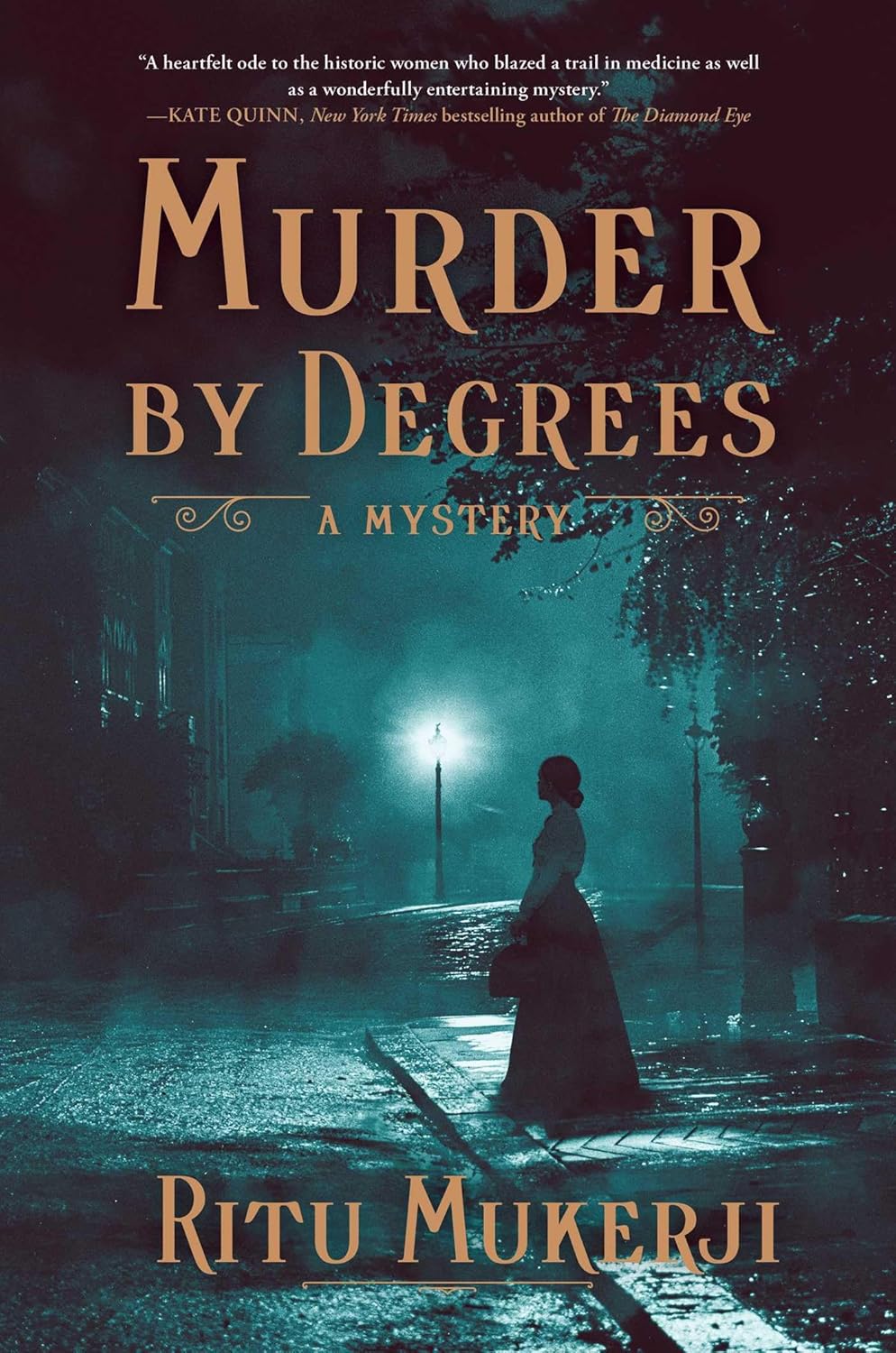 Murder by Degrees: A Mystery by Ritu Mukerji