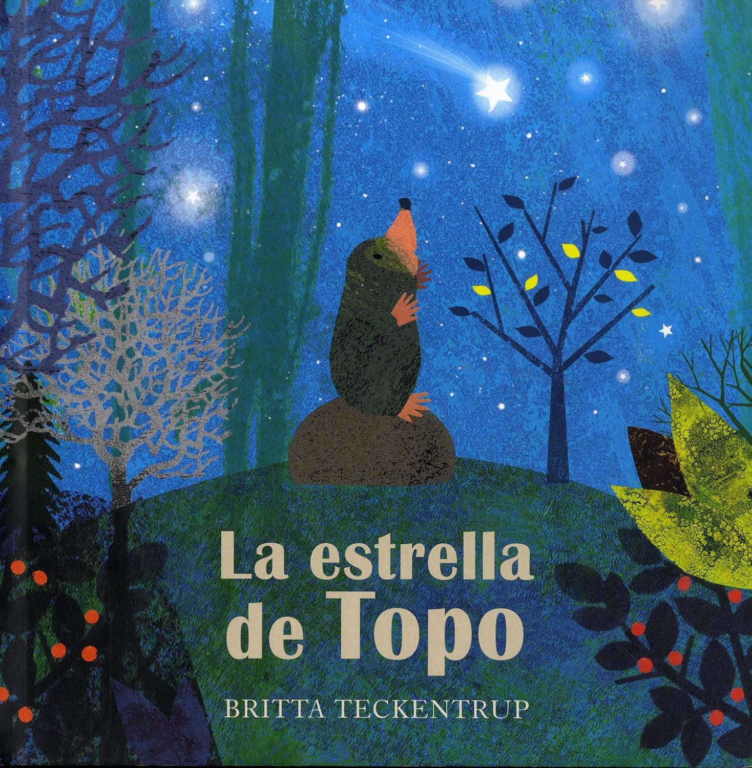 La estrella de topo by Britta Teckentrup
