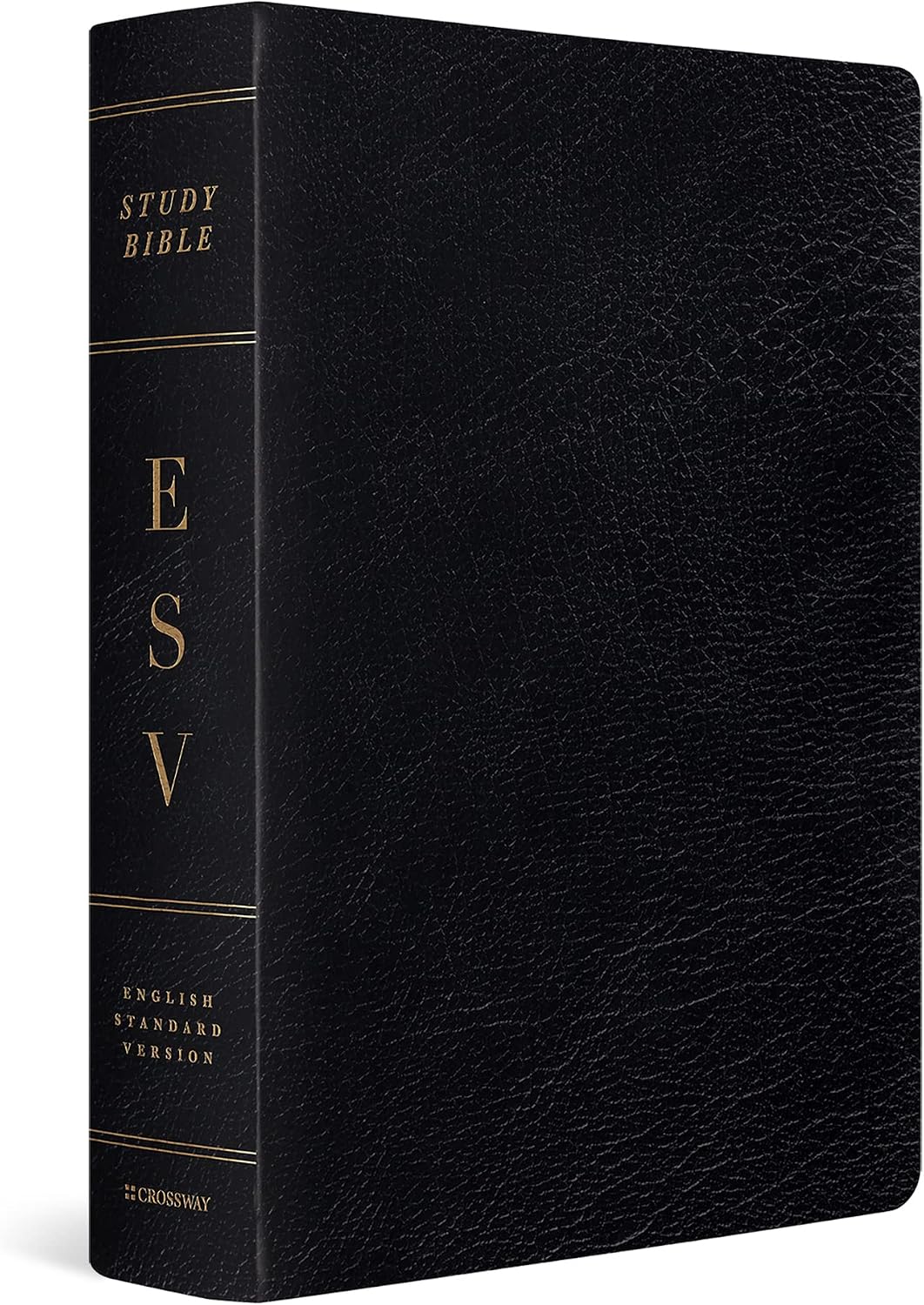 ESV Study Bible, Large Print (Genuine Leather, Black) by ESV Bibles