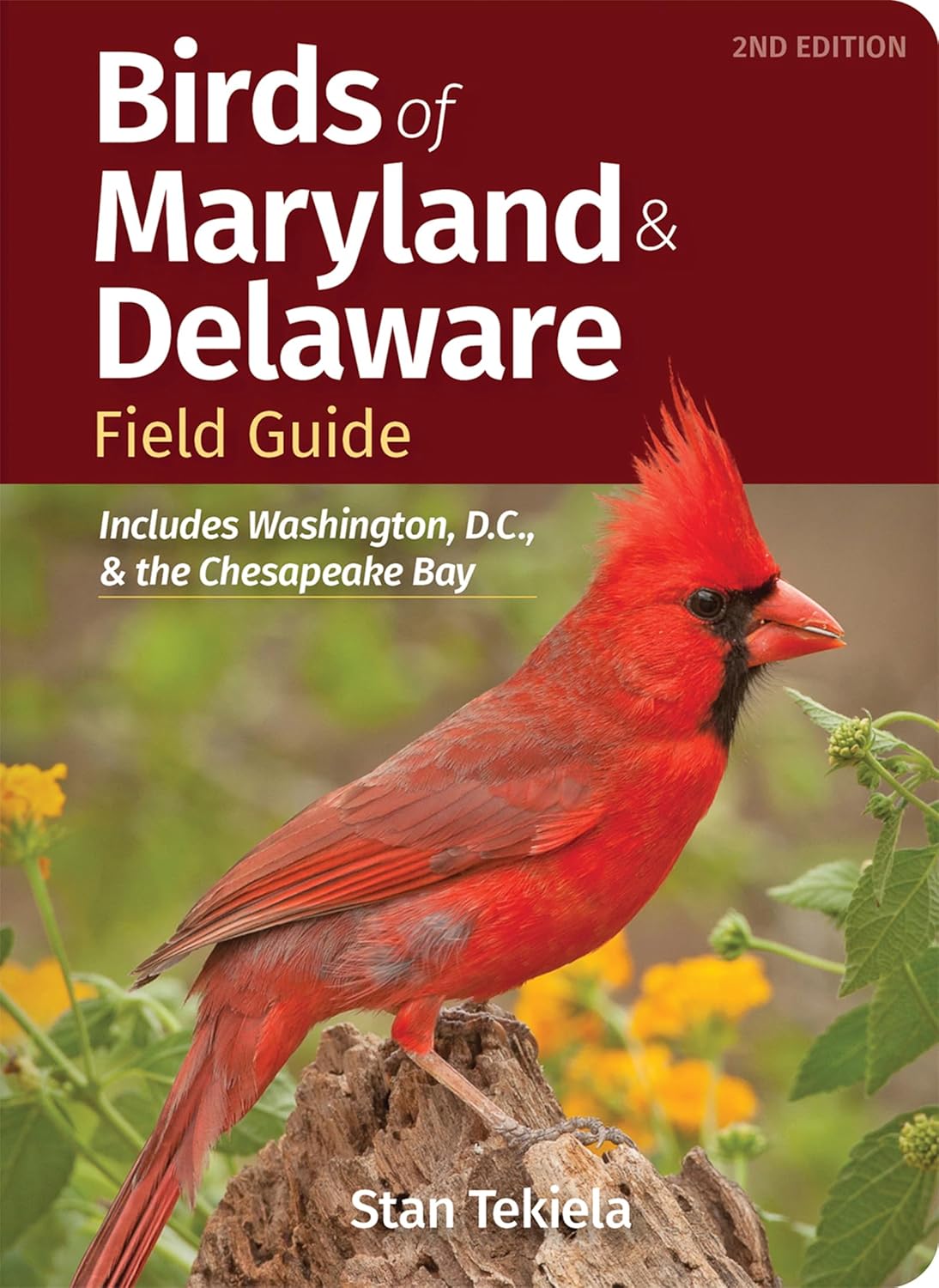 Birds of Maryland & Delaware Field Guide: Includes Washington, D.C., & the Chesapeake Bay (Bird Identification Guides) by Stan Tekiela