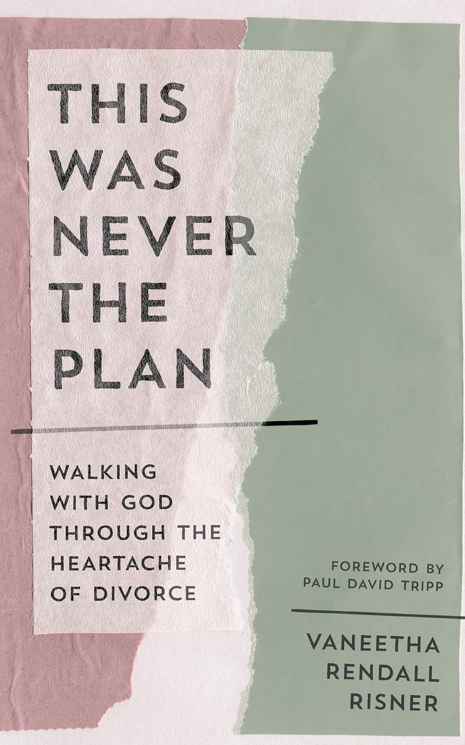 This Was Never the Plan: Walking with God Through the Heartache of Divorce (A Practical Christian Guide to Healing, Hope, and Strength After Separation) by Vaneetha Rendall Risner