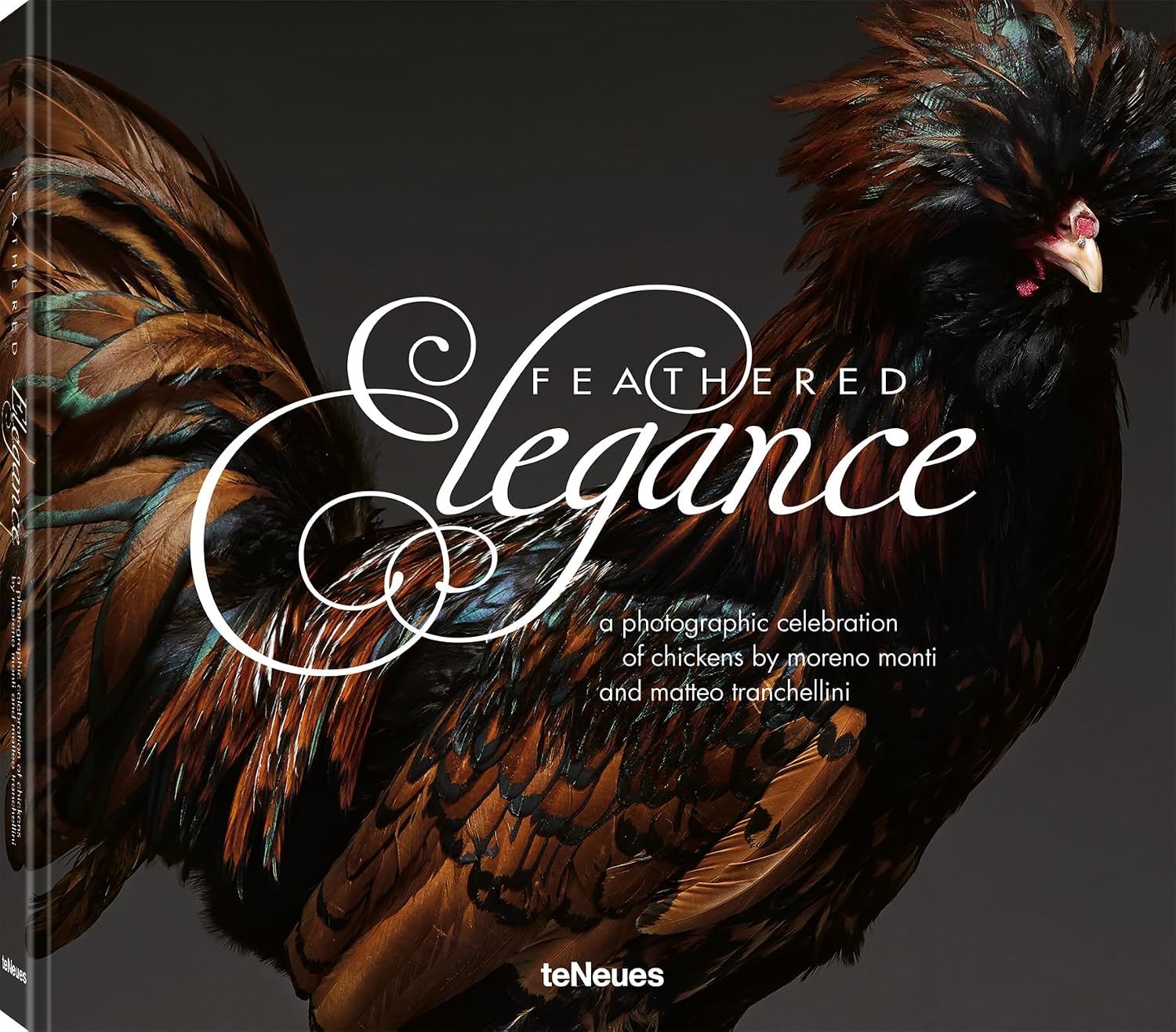 Feathered Elegance: A Photographic Celebration of Chickens by Moreno Monti