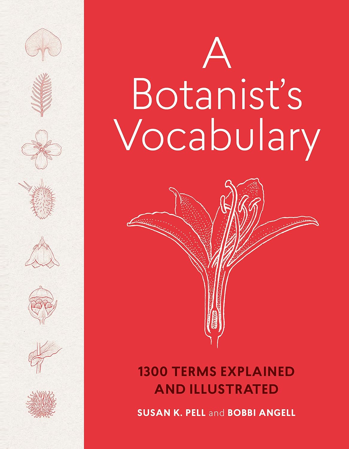 A Botanist's Vocabulary: 1300 Terms Explained and Illustrated (Science for Gardeners) by Susan K. Pell