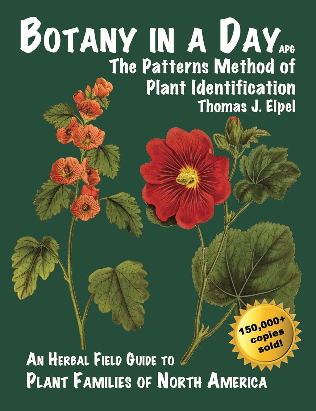 Botany in a Day: The Patterns Method of Plant Identification by Thomas J. Elpel