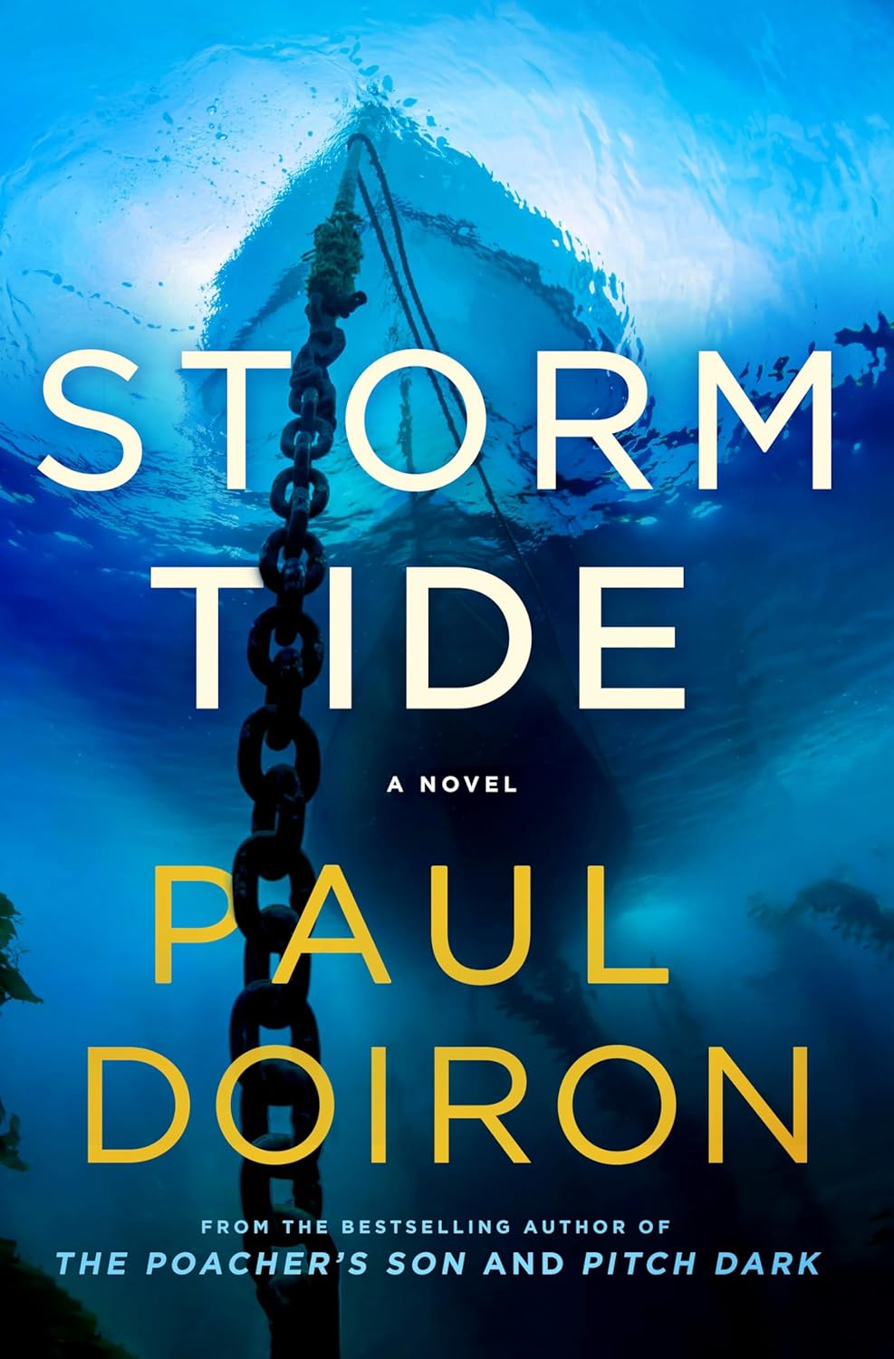Storm Tide: A Novel (Mike Bowditch Mysteries, 16) by Paul Doiron