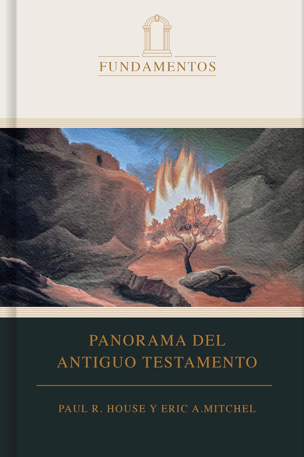 Panorama del Antiguo Testamento (SPA O.T. Overview) (Spanish Edition) by Paul R. House