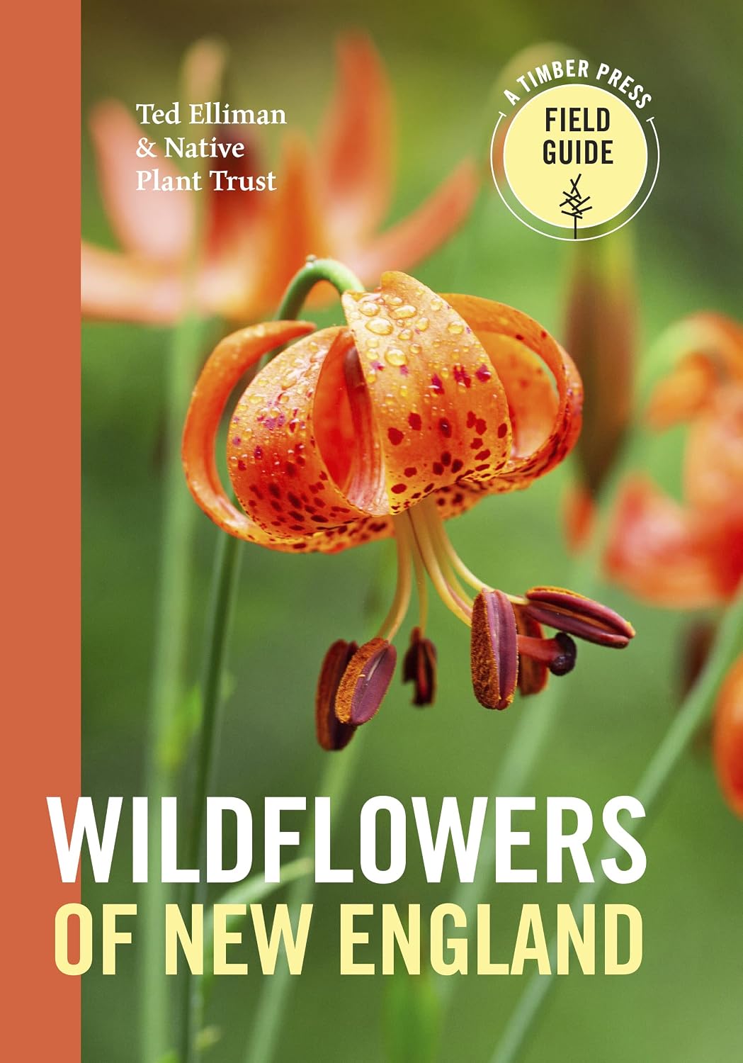Wildflowers of New England (A Timber Press Field Guide) by Ted Elliman