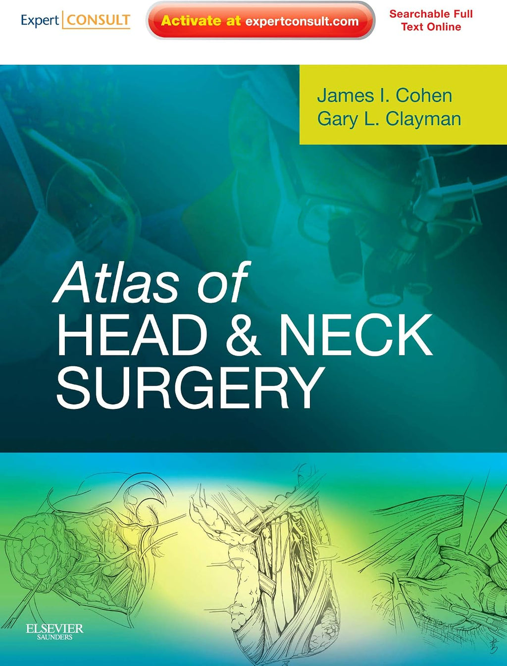Atlas of Head and Neck Surgery: Expert Consult - Online and Print by James I. Cohen
