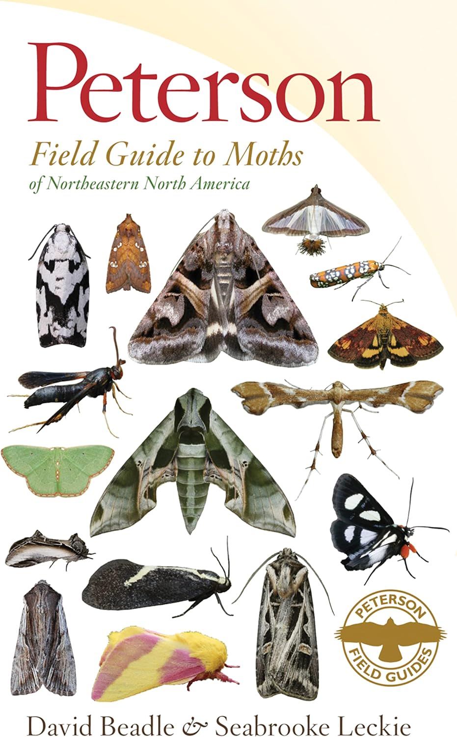 Peterson Field Guide To Moths Of Northeastern North America by David Beadle