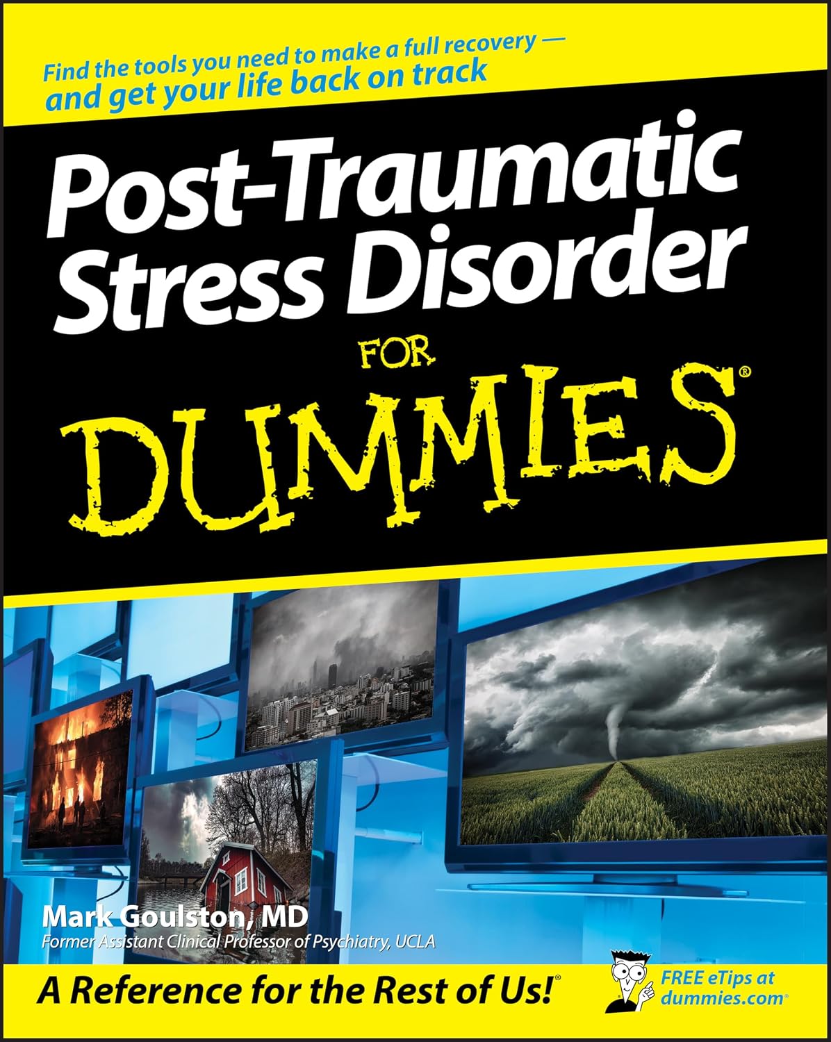 Post-Traumatic Stress Disorder For Dummies (For Dummies Series) by Mark Goulston