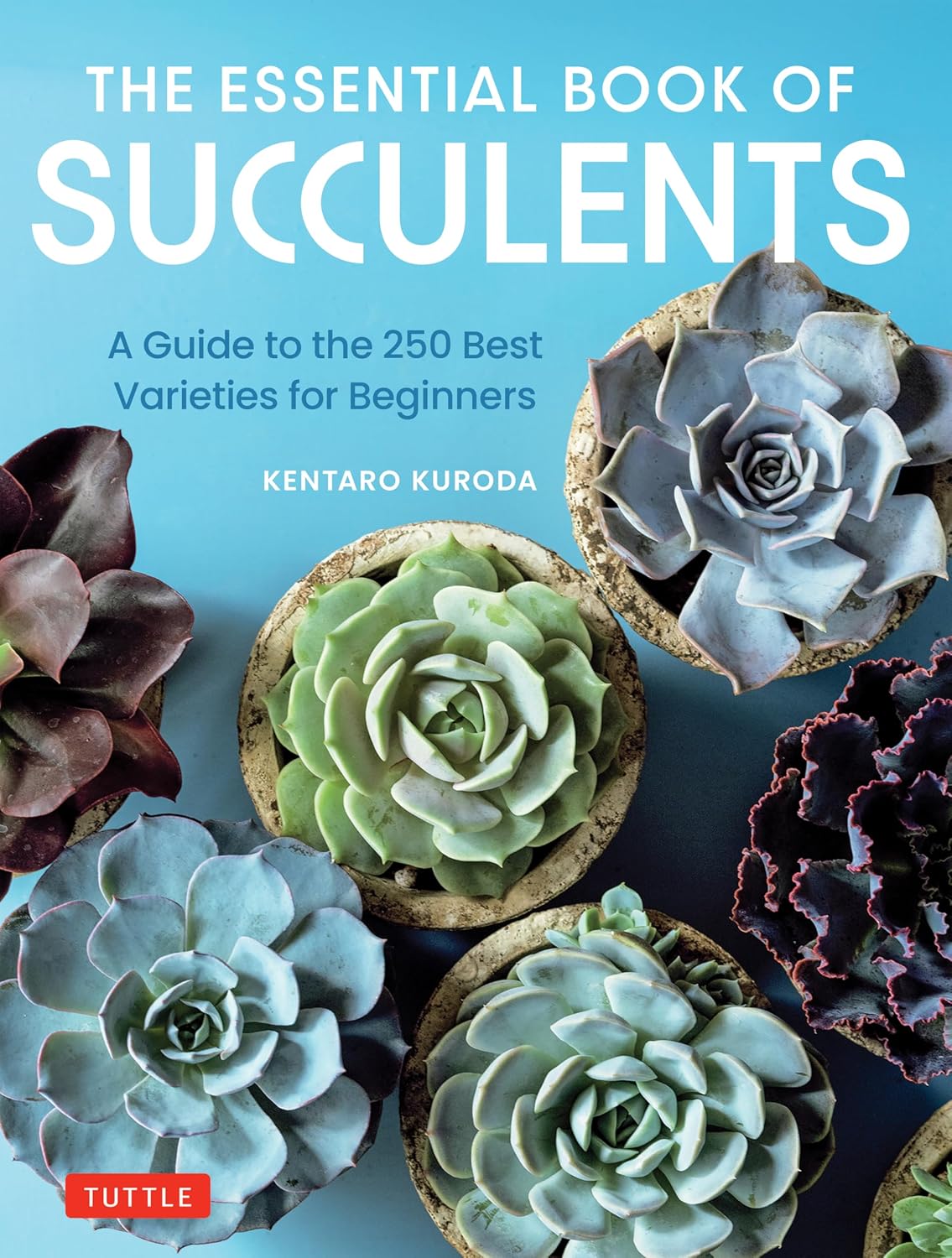 The Essential Book of Succulents: A Guide to the 250 Best Varieties for Beginners by Kentaro Kuroda