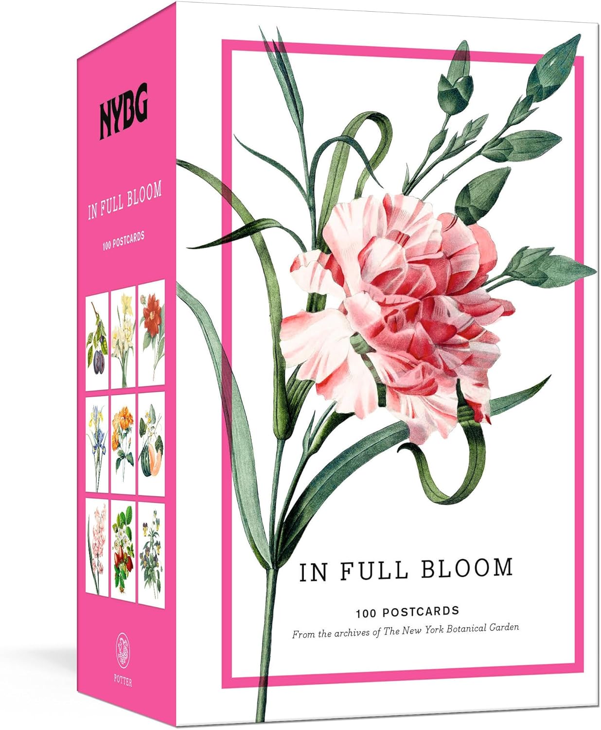 New York Botanical Garden: In Full Bloom Postcards: 100 Postcards from the Archives of the New York Botanical Garden by The New York Botanical Garden