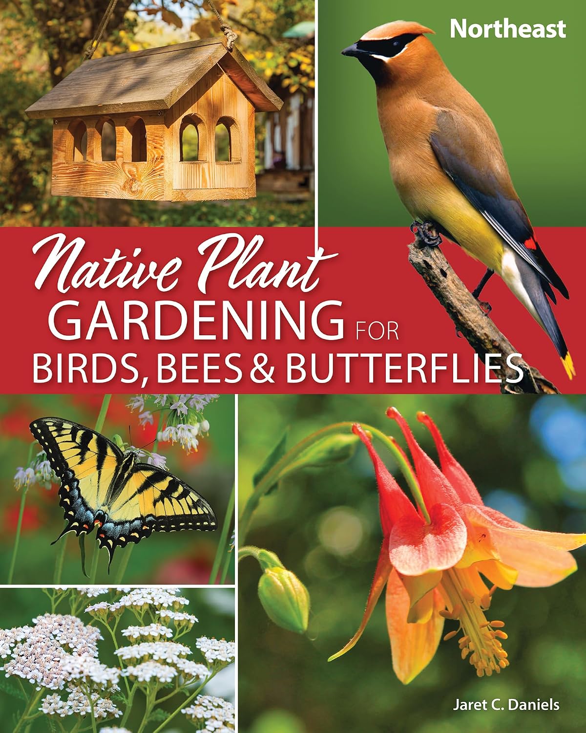 Native Plant Gardening for Birds, Bees & Butterflies: Northeast (Nature-Friendly Gardens) by Jaret C. Daniels