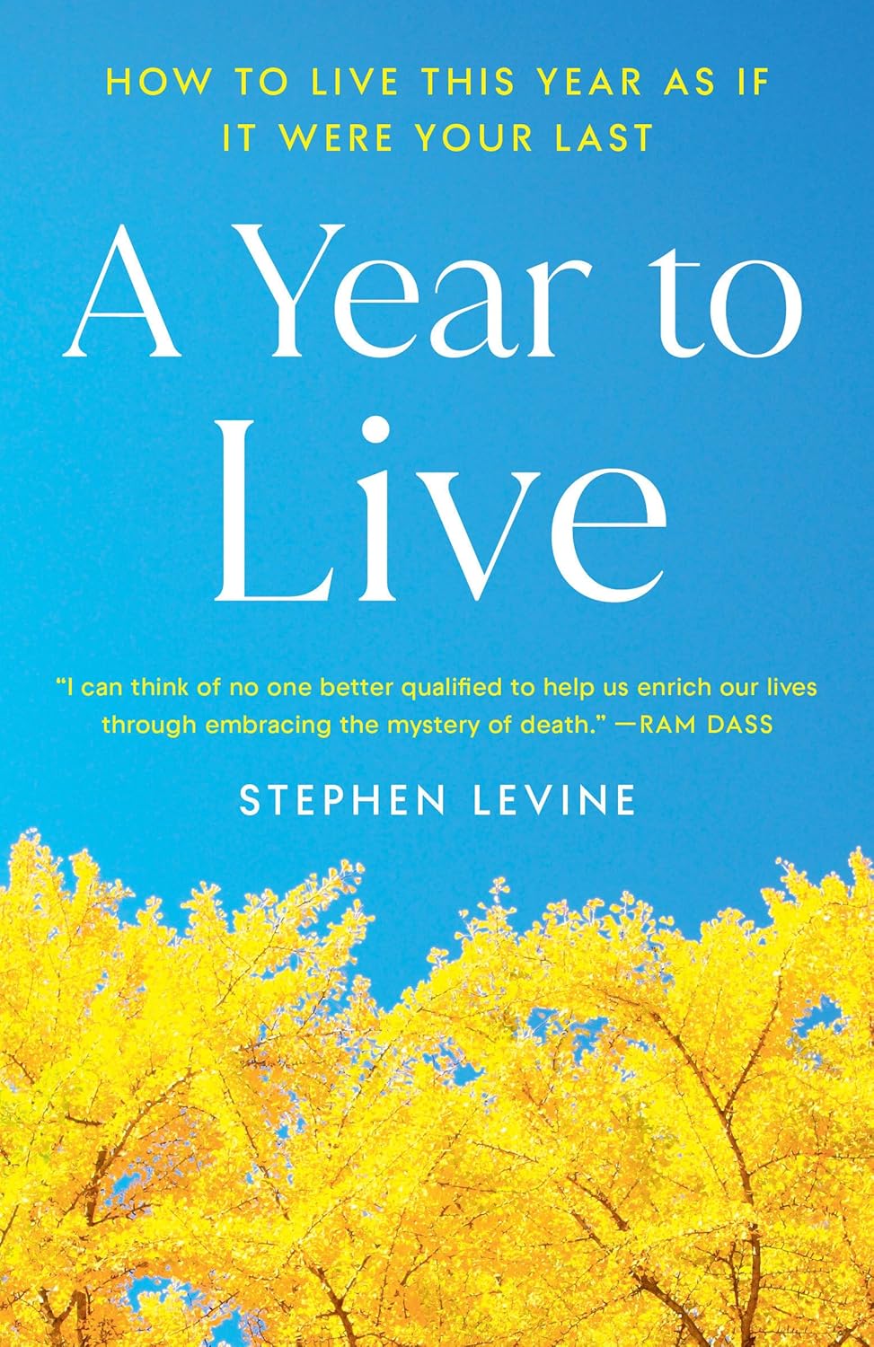 A Year to Live: How to Live This Year as If It Were Your Last by Stephen Levine
