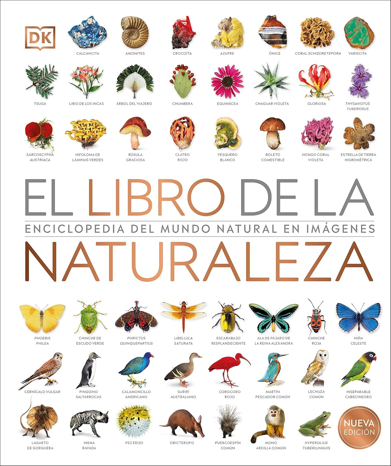 El libro de la naturaleza (Natural History): Enciclopedia del mundo natural en imagenes (DK Definitive Visual Encyclopedias) (Spanish Edition) by DK