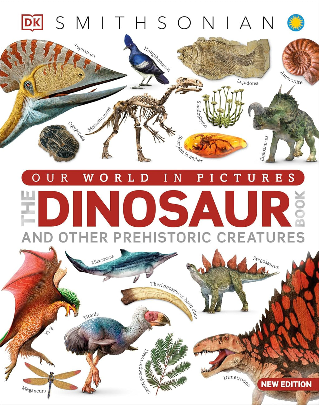 The Dinosaurs Book (DK Our World in Pictures) by DK