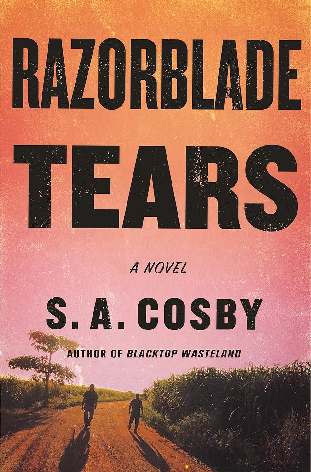 Razorblade Tears by S A Cosby
