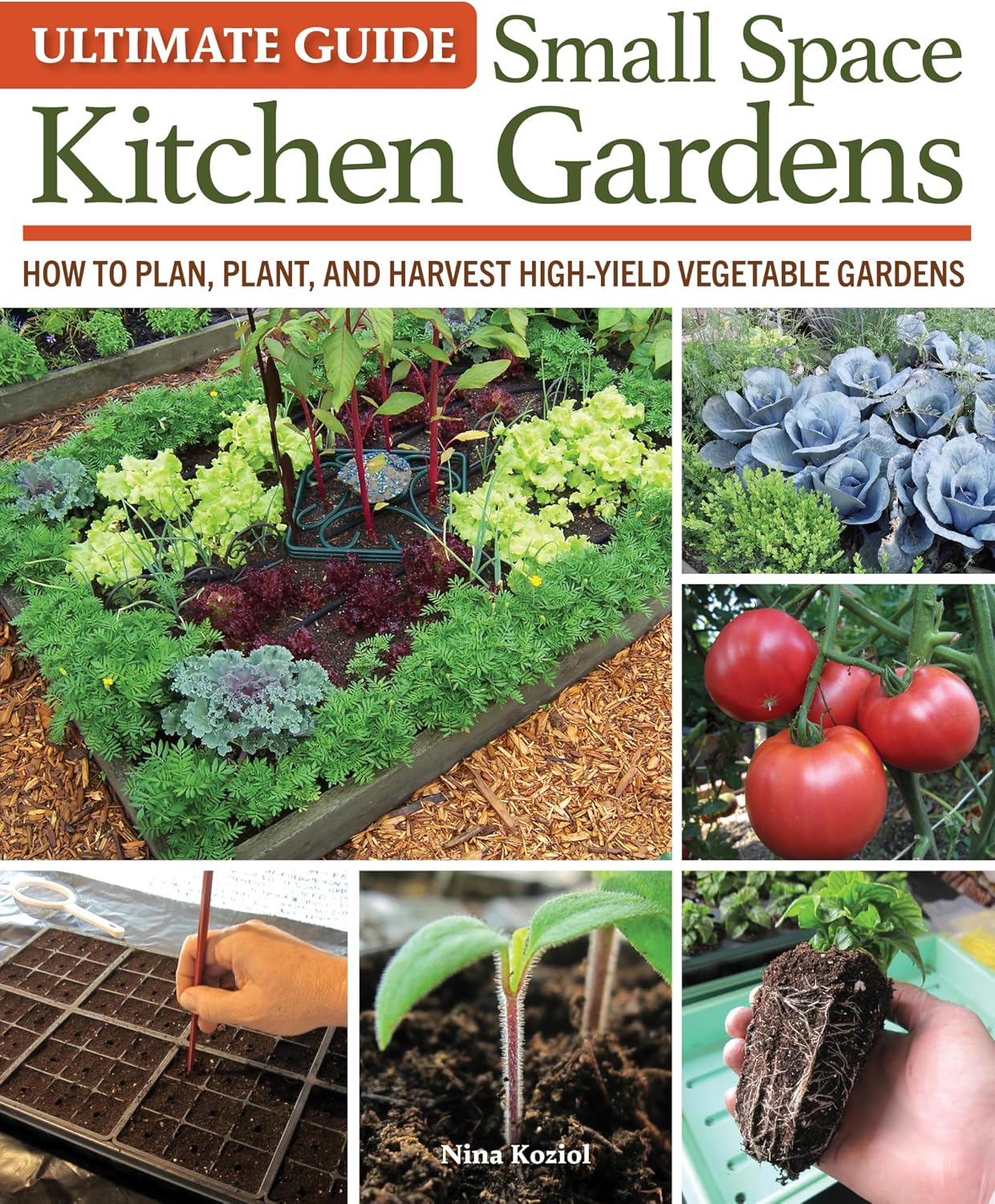 Ultimate Guide: Small Space Kitchen Gardens: How to Plan, Plant, and Harvest High-Yield Vegetable Gardens (Creative Homeowner) Grow Your Own Veggies, Herbs, and Berries the Easy Way, Indoors and Out by Nina Koziol