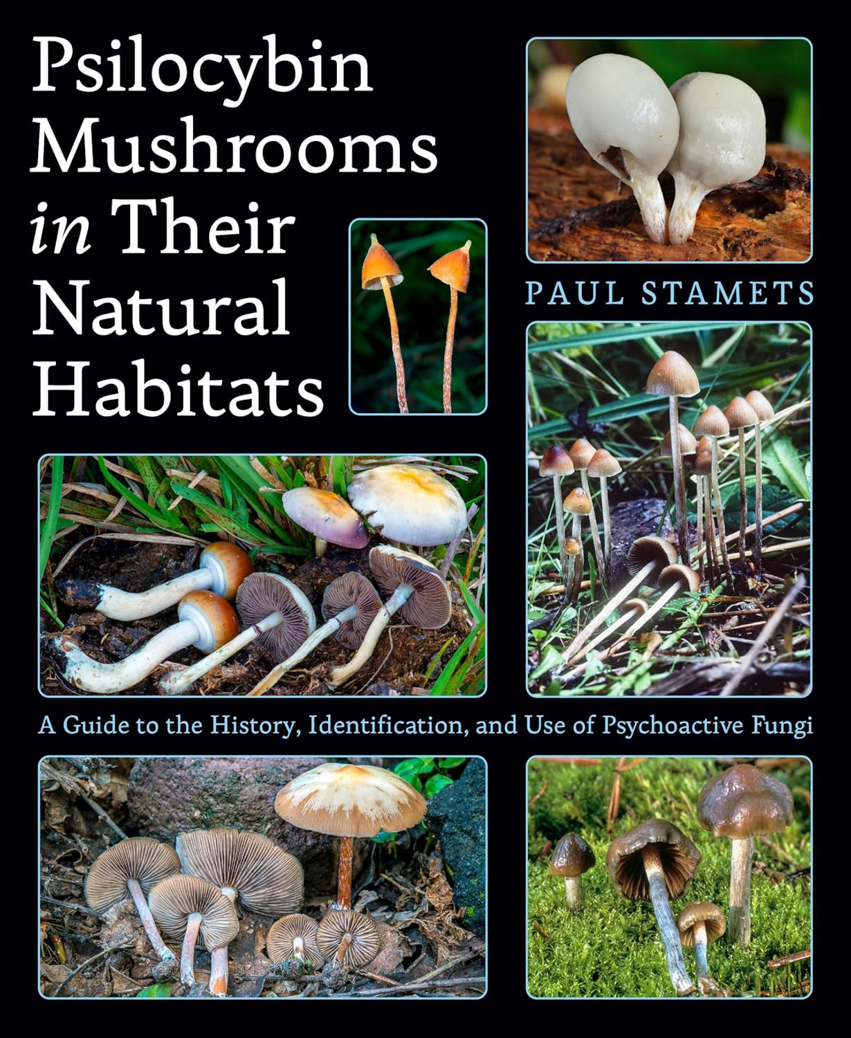 Psilocybin Mushrooms in Their Natural Habitats: A Guide to the History, Identification, and Use of Psychoactive Fungi by Paul Stamets