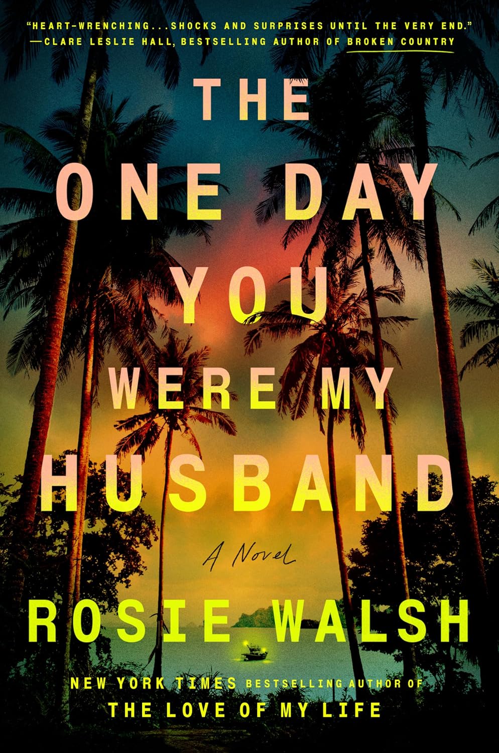 The One Day You Were My Husband: A Novel by Rosie Walsh