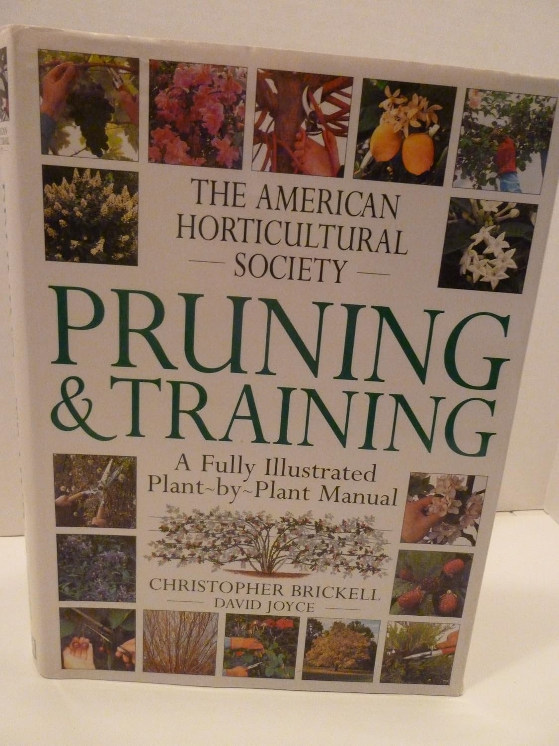 American Horticultural Society Pruning & Training by Christopher Brickell