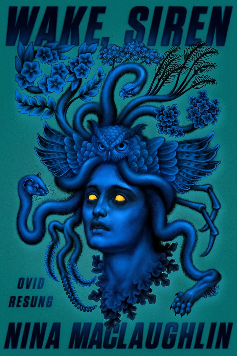 Wake, Siren: Ovid Resung by Nina MacLaughlin