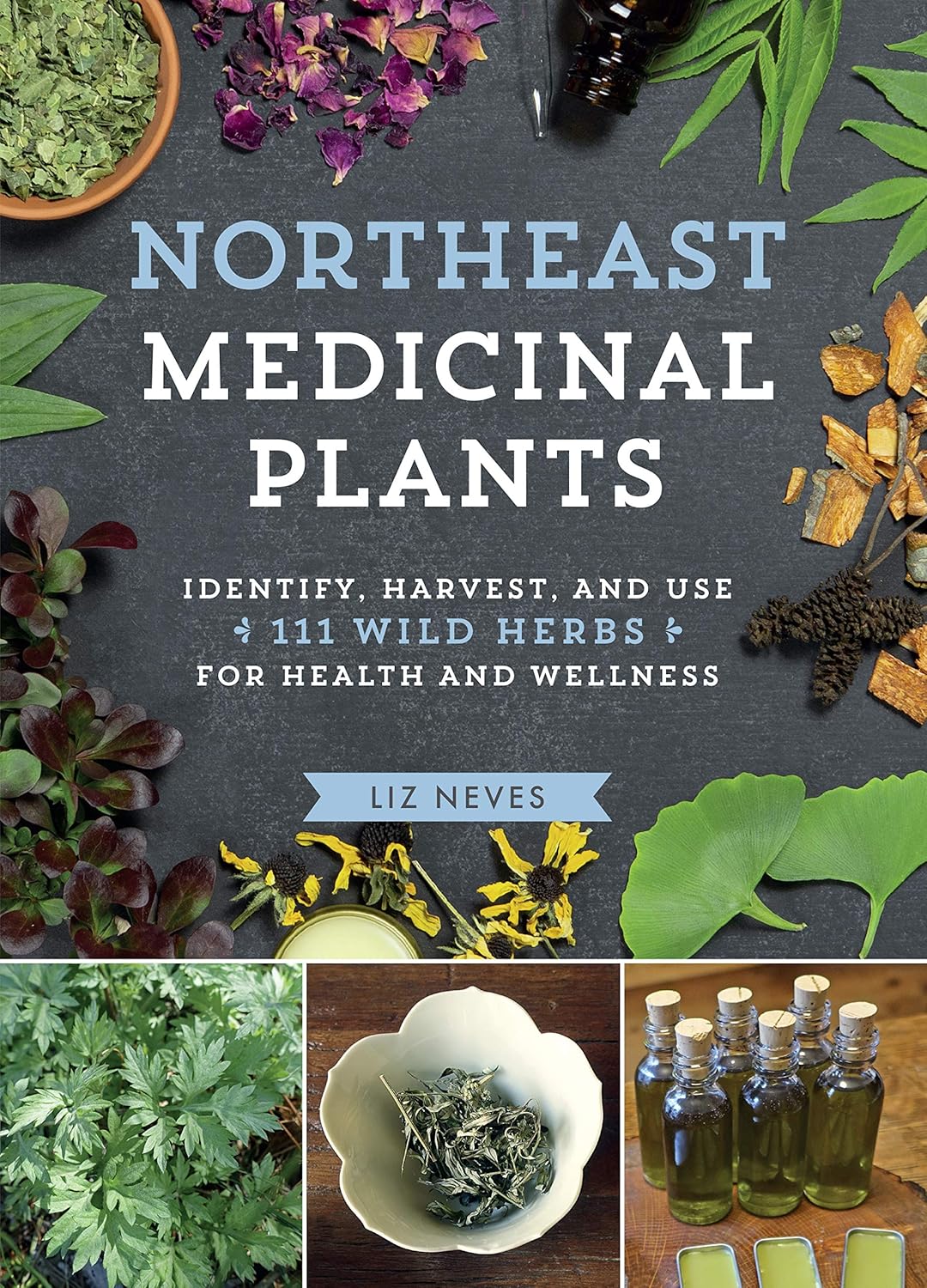 Northeast Medicinal Plants: Identify, Harvest, and Use 111 Wild Herbs for Health and Wellness (Medicinal Plants Series) by Liz Neves