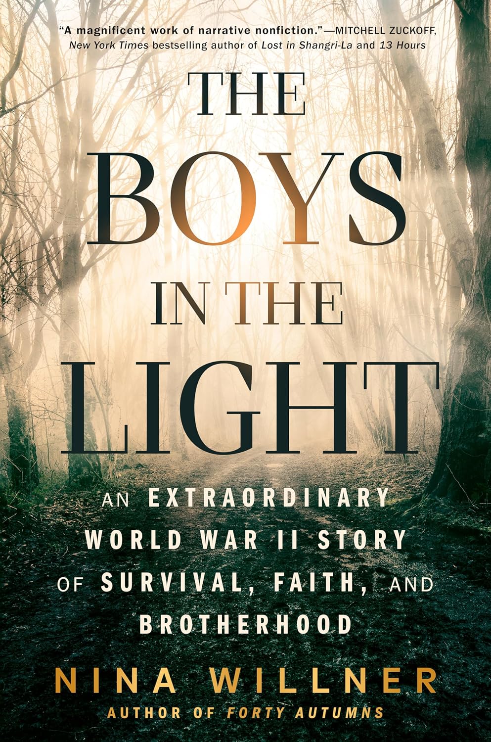 The Boys in the Light: An Extraordinary World War II Story of Survival, Faith, and Brotherhood by Nina Willner