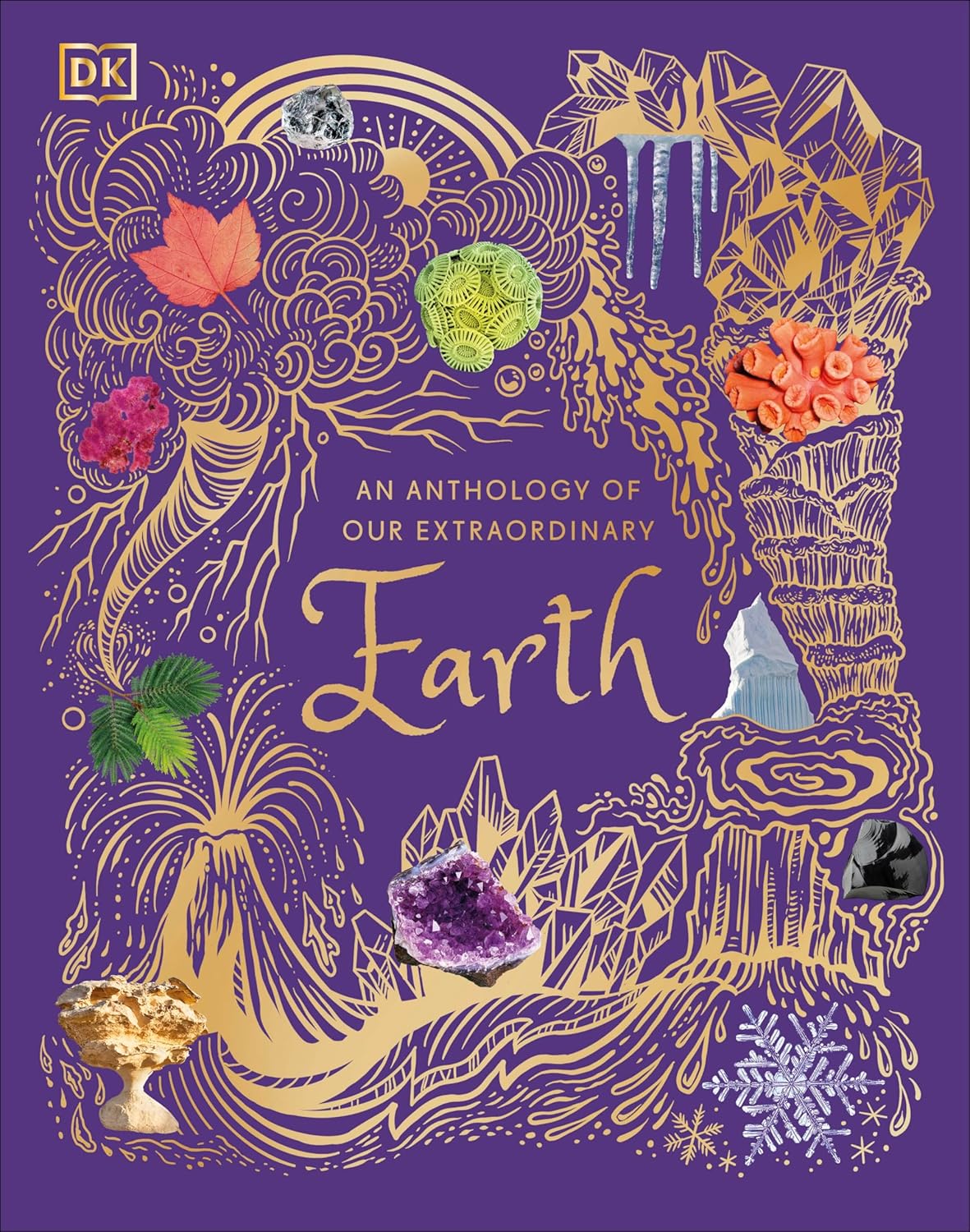 An Anthology of Our Extraordinary Earth: Discover the Awe-Inspiring Wonders of Planet Earth (DK Children's Anthologies) by Cally Oldershaw