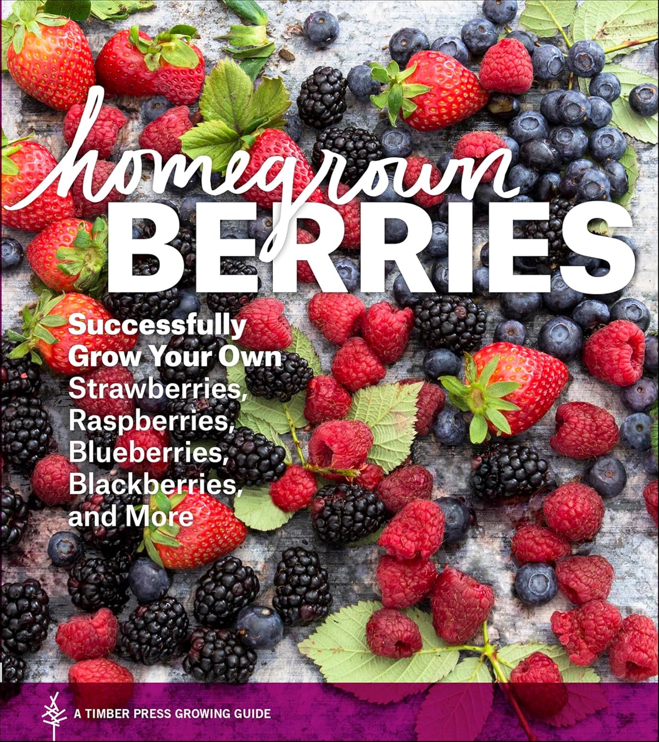 Homegrown Berries: Successfully Grow Your Own Strawberries, Raspberries, Blueberries, Blackberries, and More by Timber Press