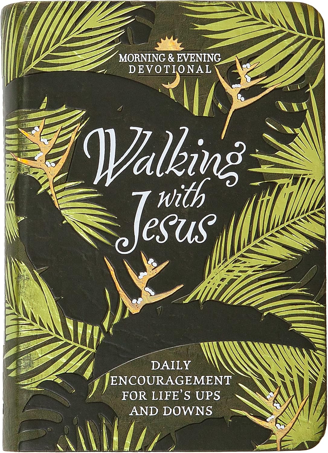 Walking with Jesus: Daily Encouragement for Life’s Ups and Downs (Morning & Evening Devotionals) by Marie Chapian