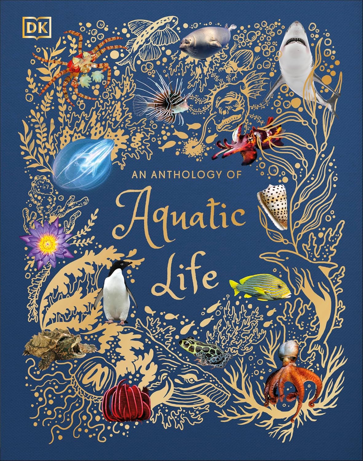 An Anthology of Aquatic Life: Discover the Secret Lives Under the Sea (DK Children's Anthologies) by Sam Hume