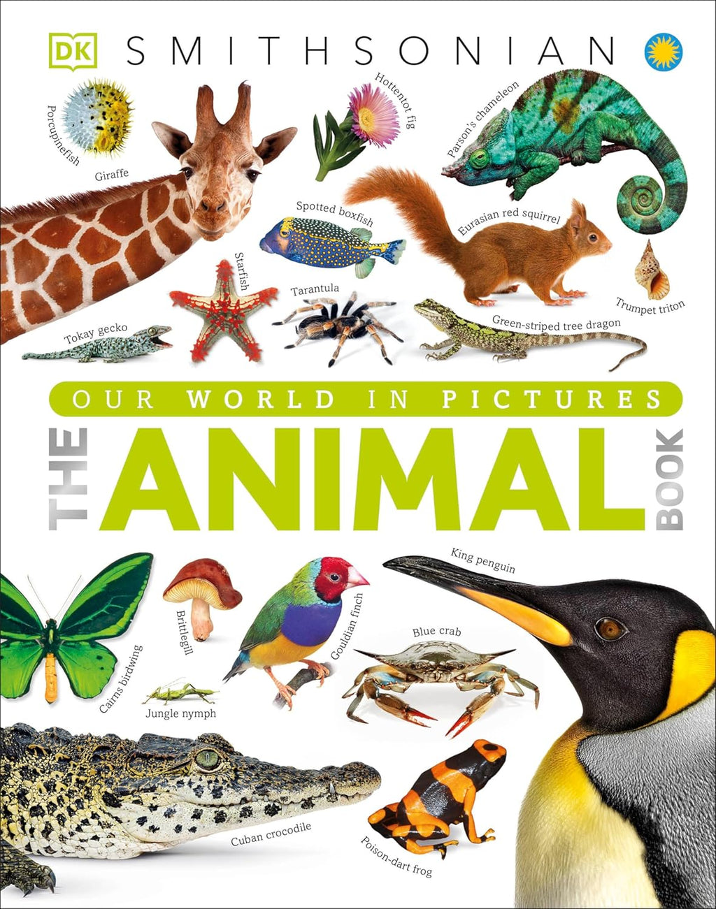 The Animal Book: A Visual Animal Kingdom Encyclopedia for Kids (DK Our World in Pictures) by David Burnie