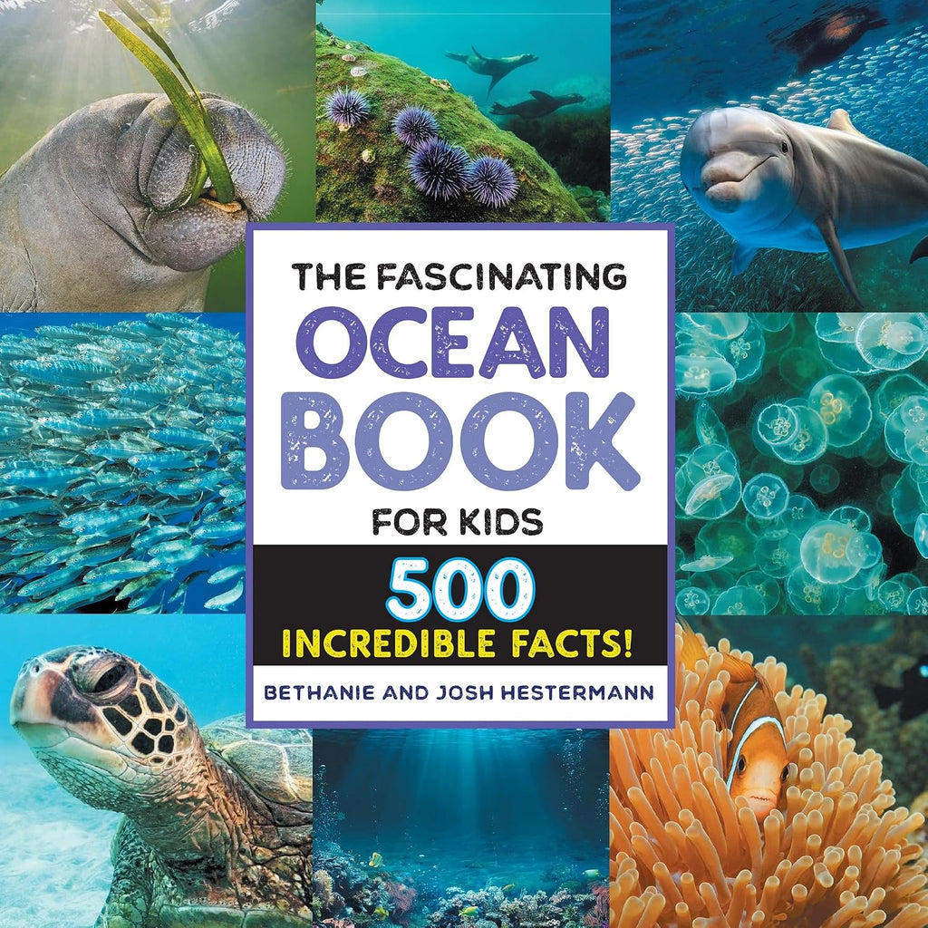 The Fascinating Ocean Book for Kids: 500 Incredible Facts! (Fascinating Facts) by Bethanie Hestermann