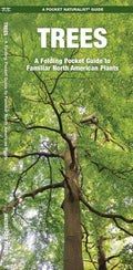 Trees: A Folding Pocket Guide to Familiar North American Plants (Nature Observation North America) by James Kavanagh Waterford Press