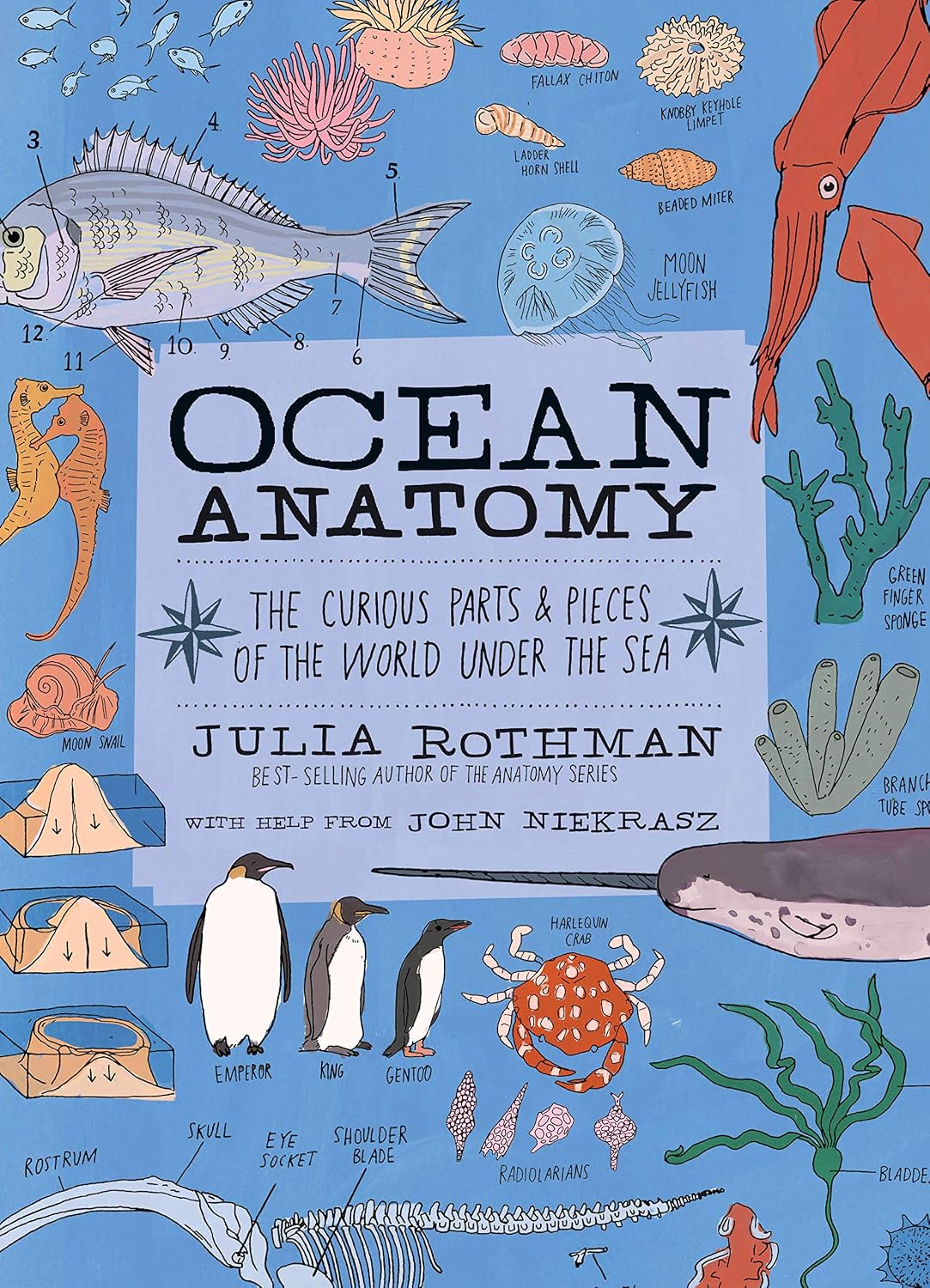 Ocean Anatomy: The Curious Parts & Pieces of the World under the Sea by Julia Rothman