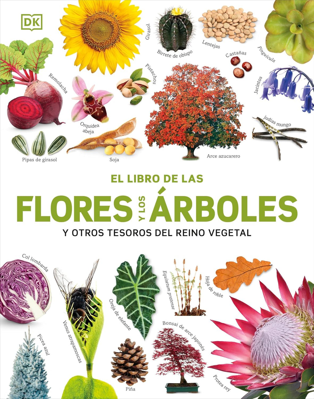 El Libro de las flores y los árboles (Our World in Pictures: Trees, Leaves, Flowers & Seeds) (Spanish Edition) by DK