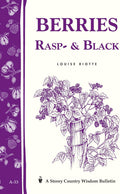 Berries, Rasp- & Black by Louise Riotte