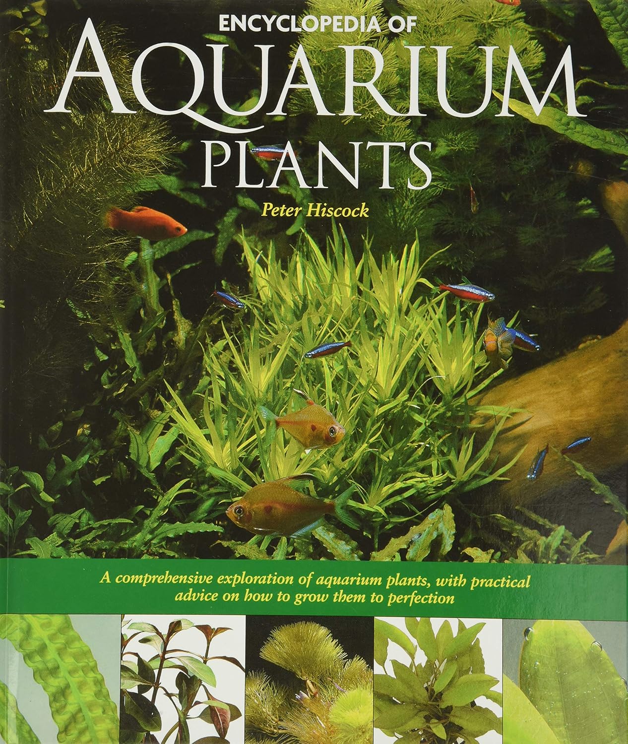 Encyclopedia of Aquarium Plants by Peter Hiscock