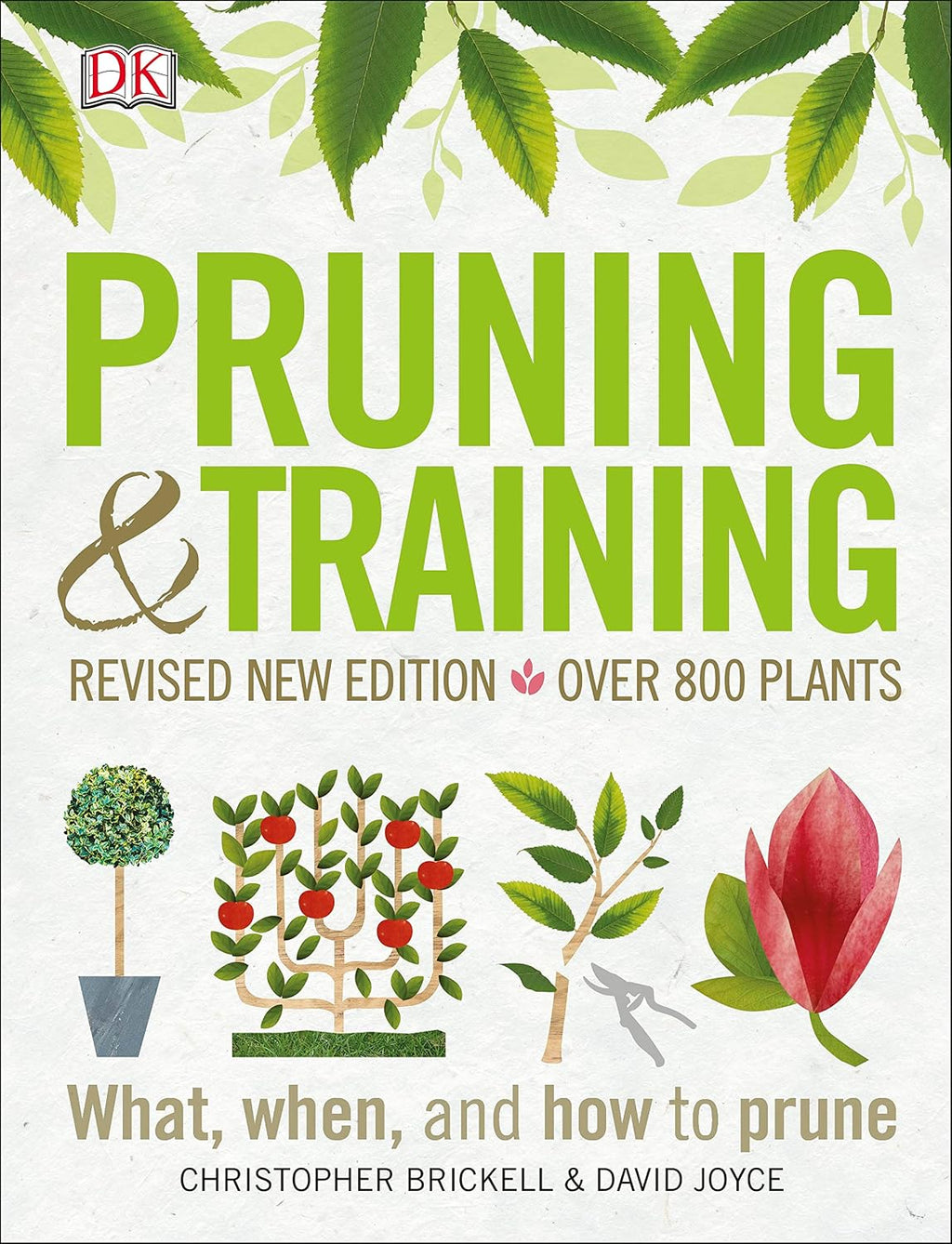 Pruning and Training, Revised New Edition: What, When, and How to Prune by DK